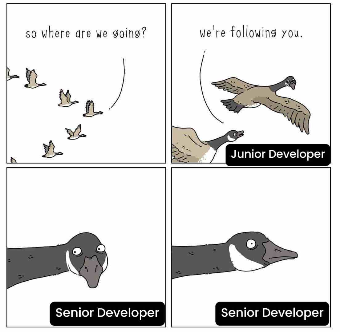 Junior Developer vs Senior Developer