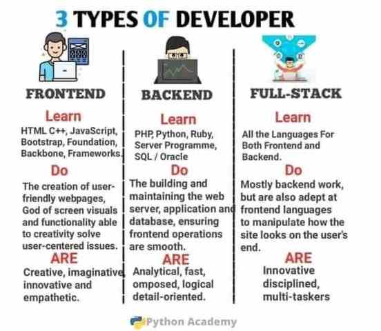 3 Types of Developer