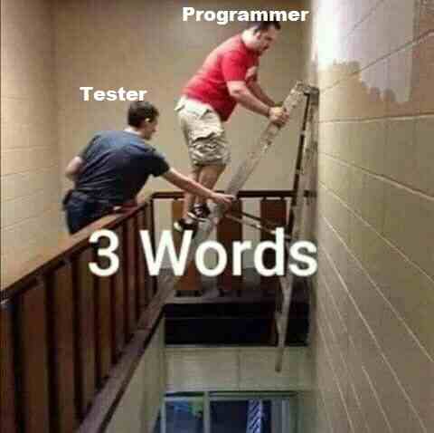 3 words for Programmer