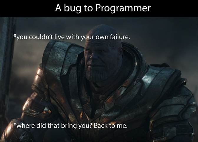 A bug to programmer