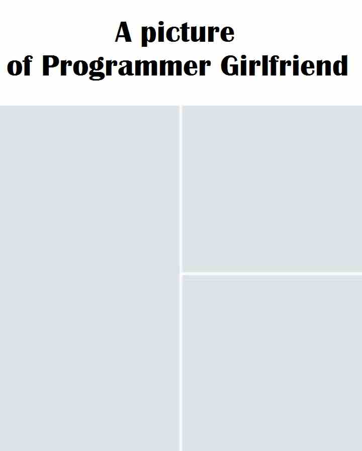 a picture of programmer girlfriend
