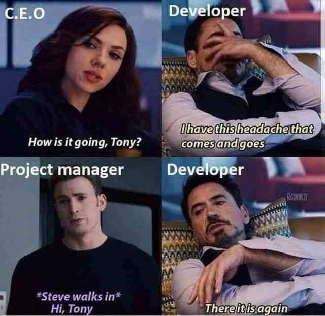 A Project Manager Reaction on Developer answer