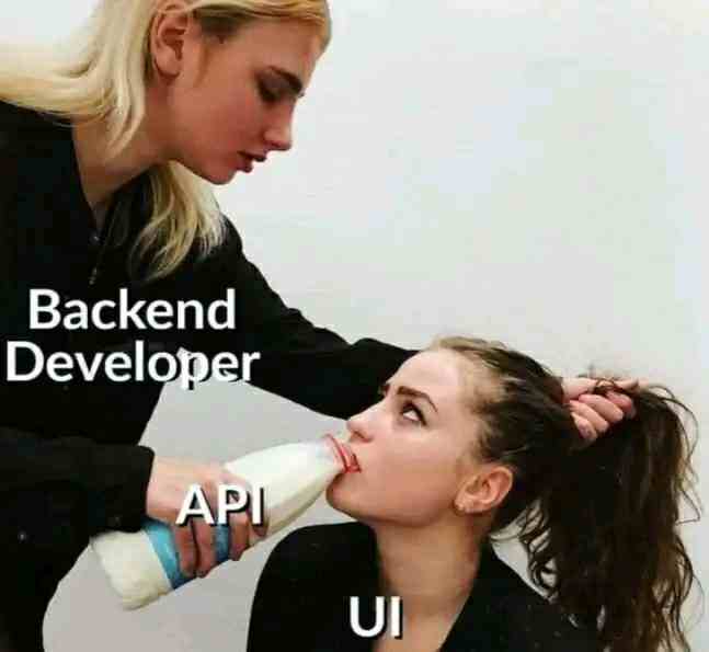 Backend Developer API UI