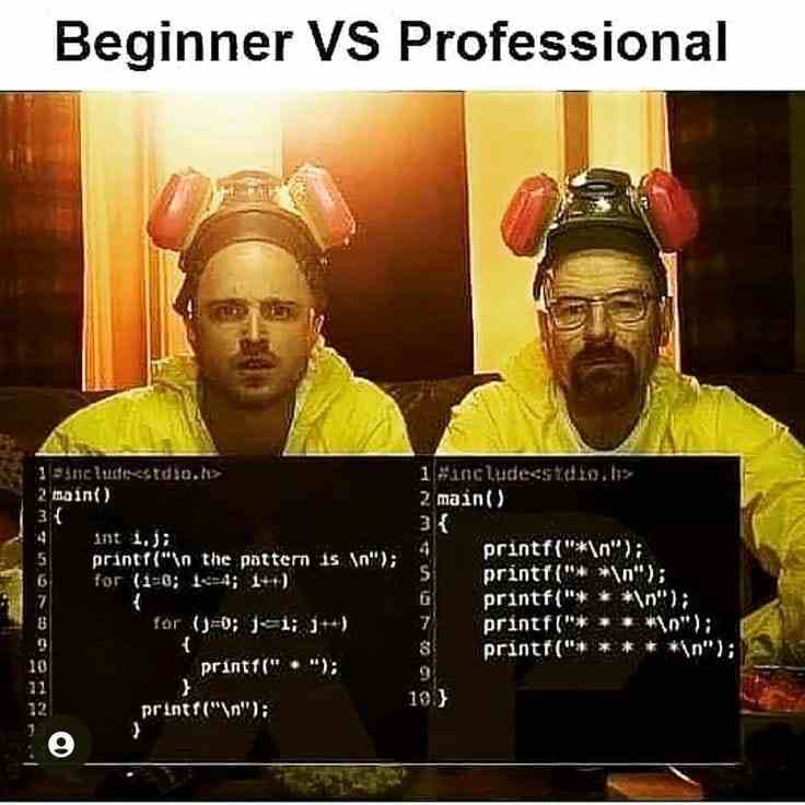 Beginner Programmer vs Professional Programmer