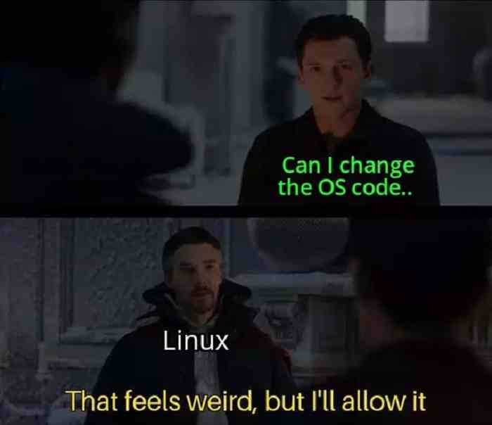 Can I change the OS code..