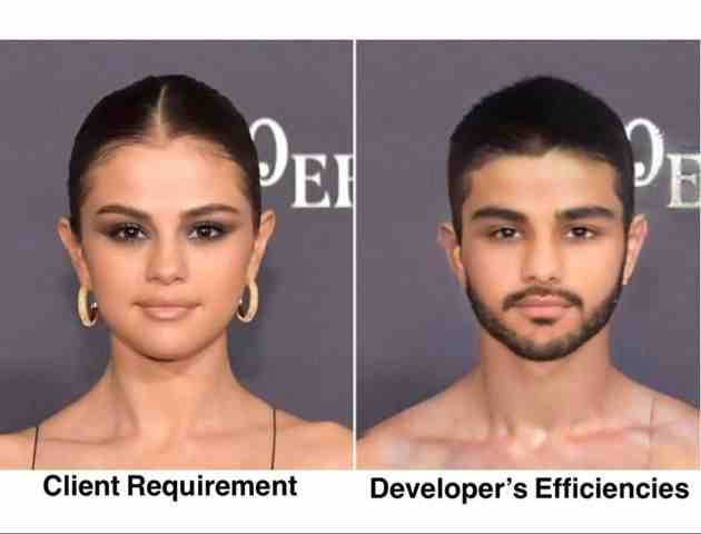 Client Requirement vs Developer's Efficiencies