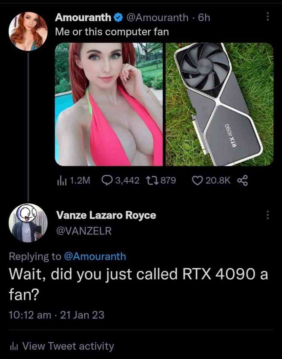 Did you just called RTX 4090 a fan?