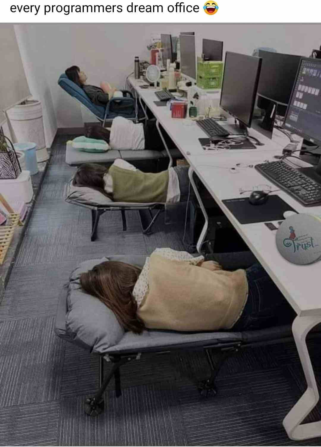 Every Programmers dream office