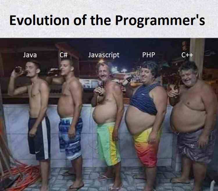 Evolution of the programmer's