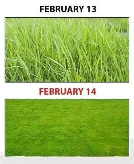 February 13 to February 14 what you expect these days 