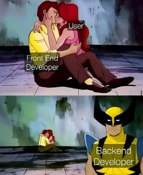 Front end developer & Backend developer
