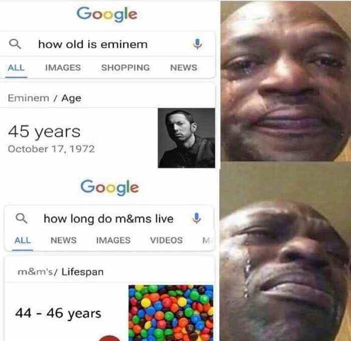 How long do M&ms live