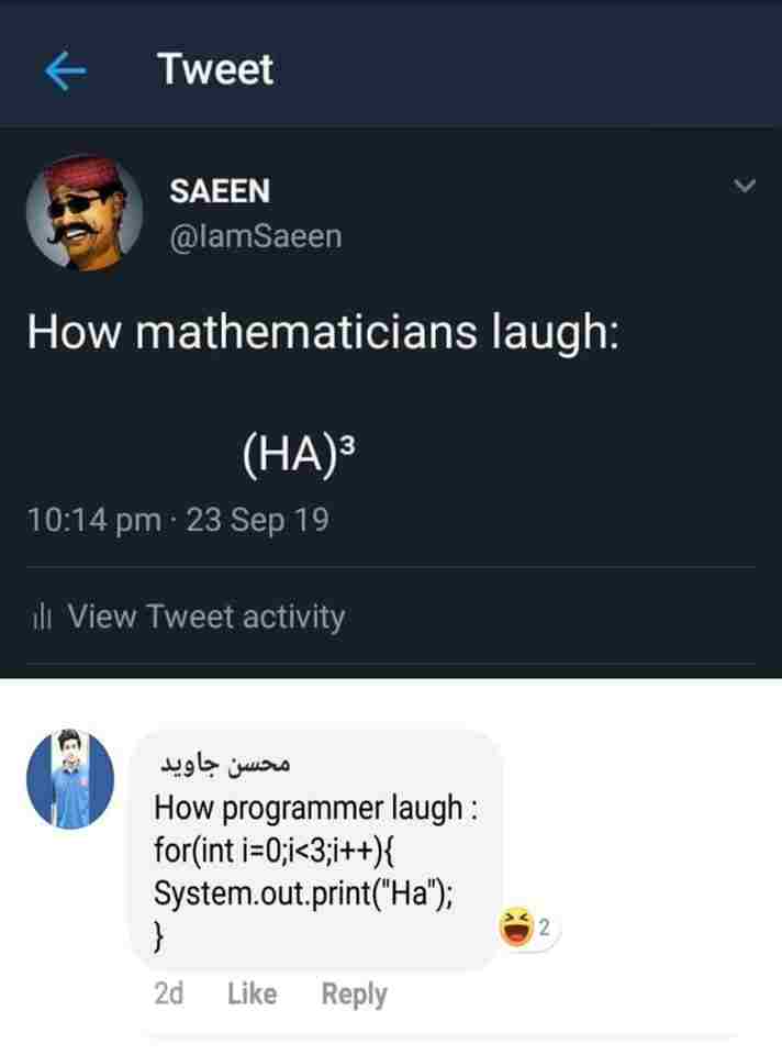 How mathematicians laugh vs How Programmer laugh