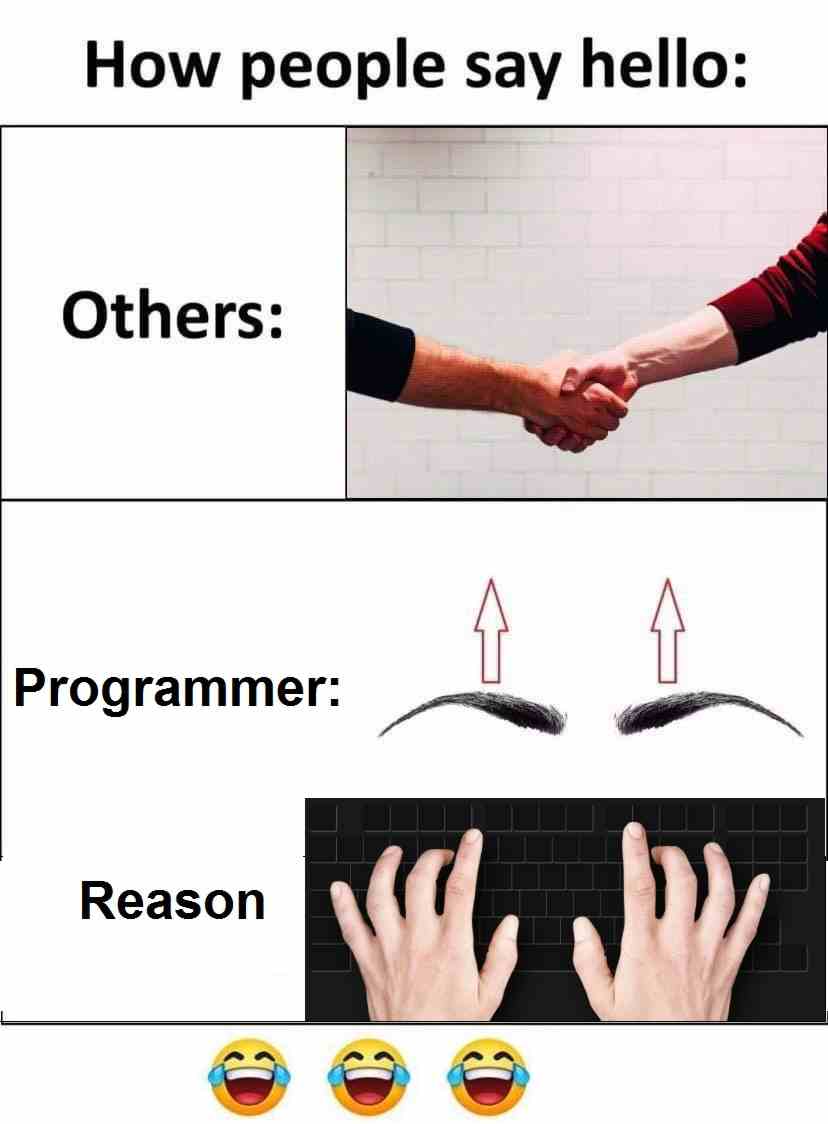 How people say hello vs How Programmer say hello