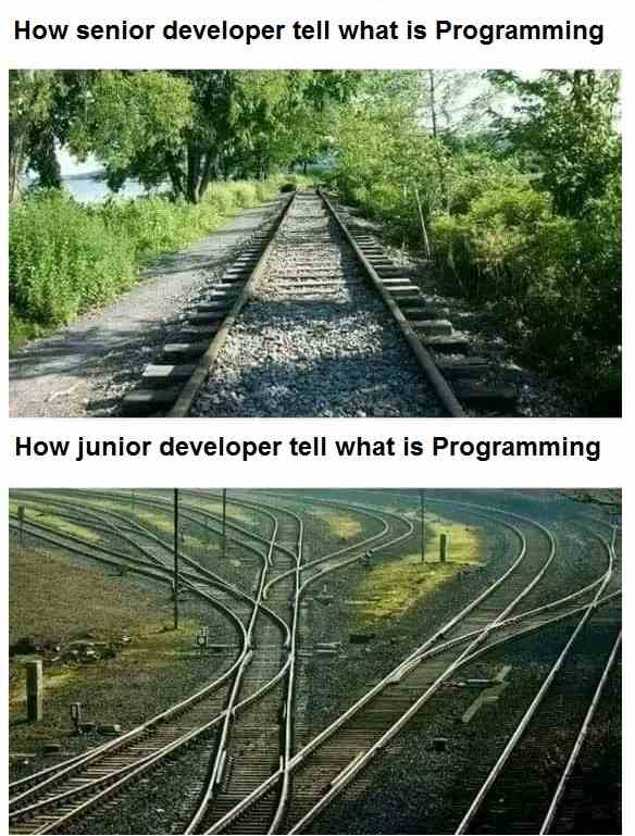How senior developer tell what is Programming