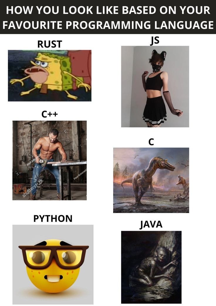 How you look like based on your favorite Programming Language