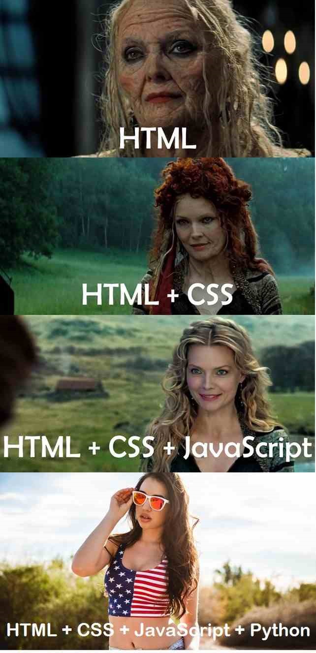 HTML + CSS + JavaScript + Python