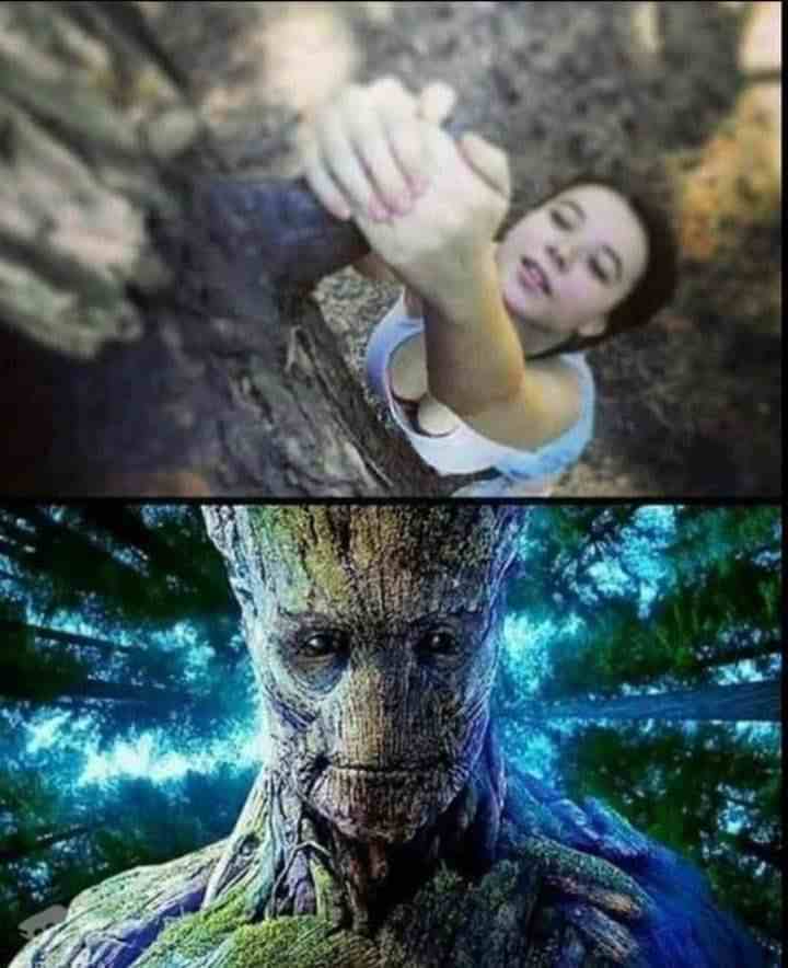 I am Groot....!!