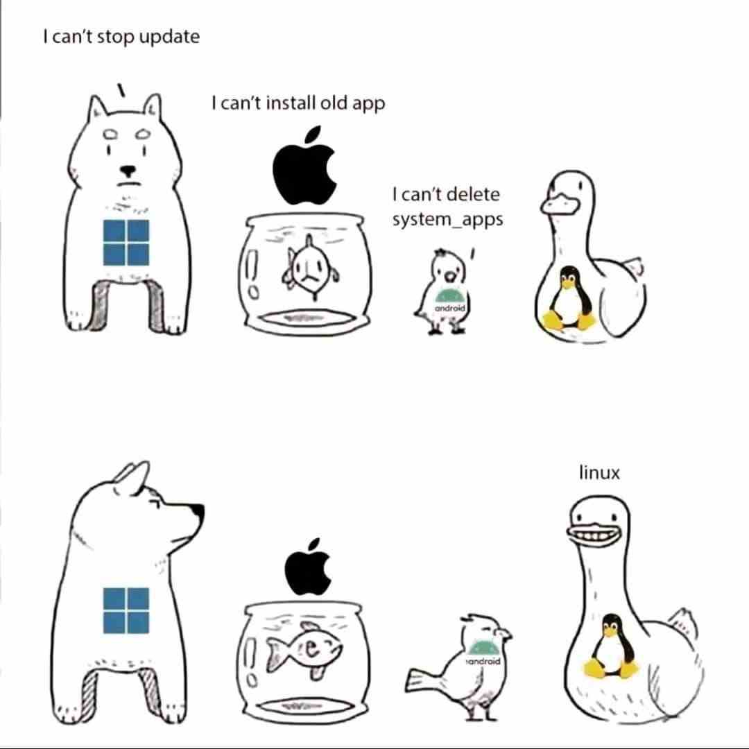 i-can-t-stop-update-i-can-t-install-old-app-aprogrammerlife