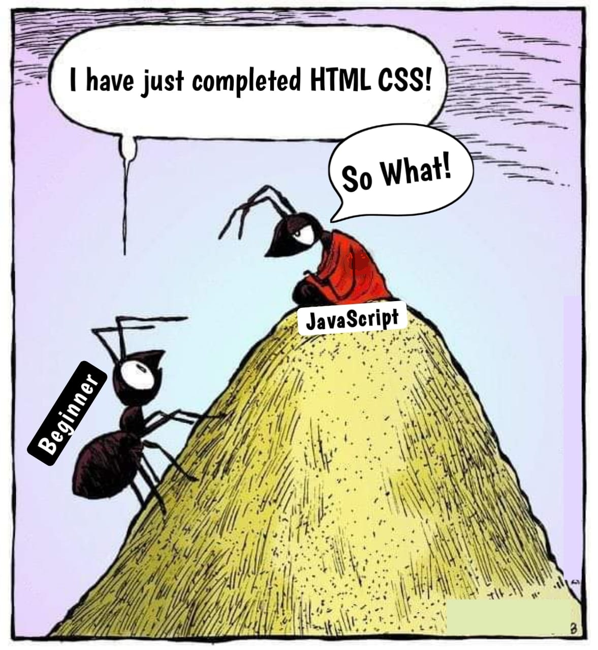 I have just completed HTML CSS!