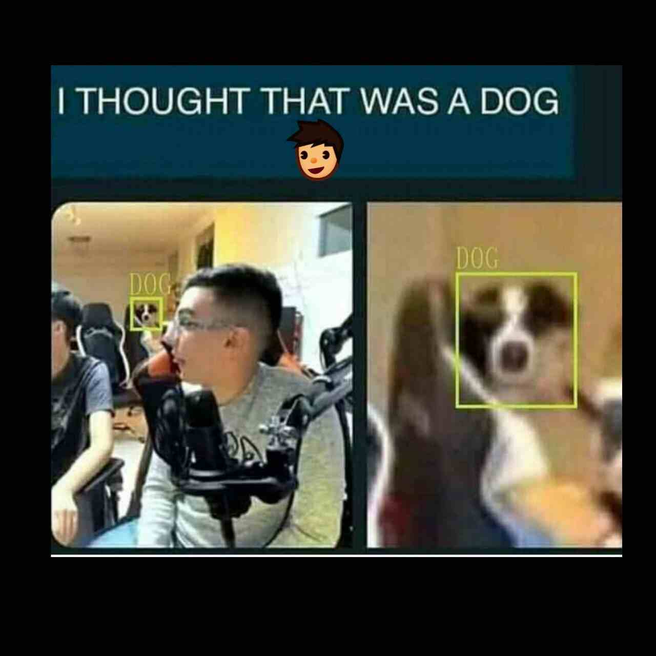 I thought that was a Dog