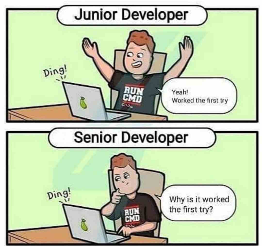 Junior developer Vs Senior developer