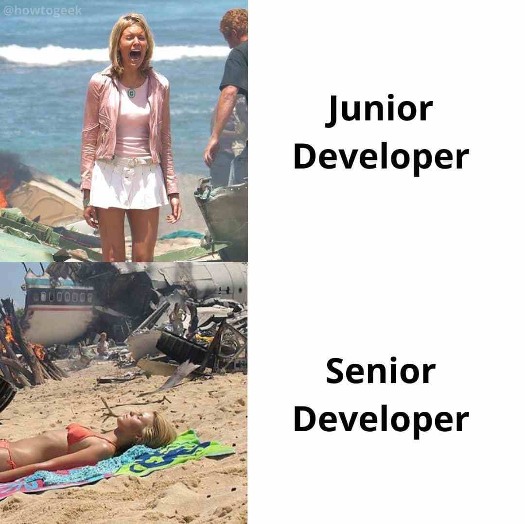 Junior developer vs Senior developer