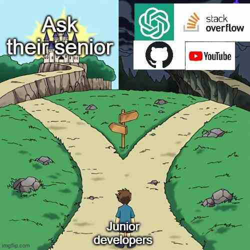 Junior developers in now days