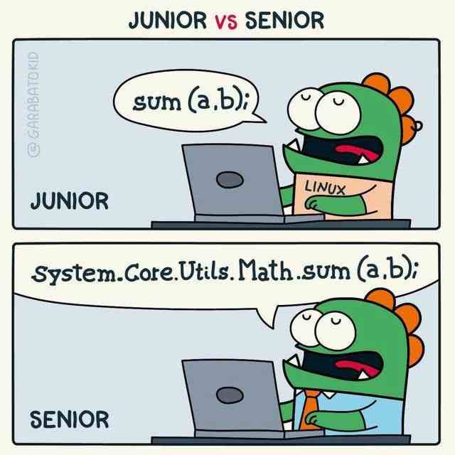 Junior vs Senior