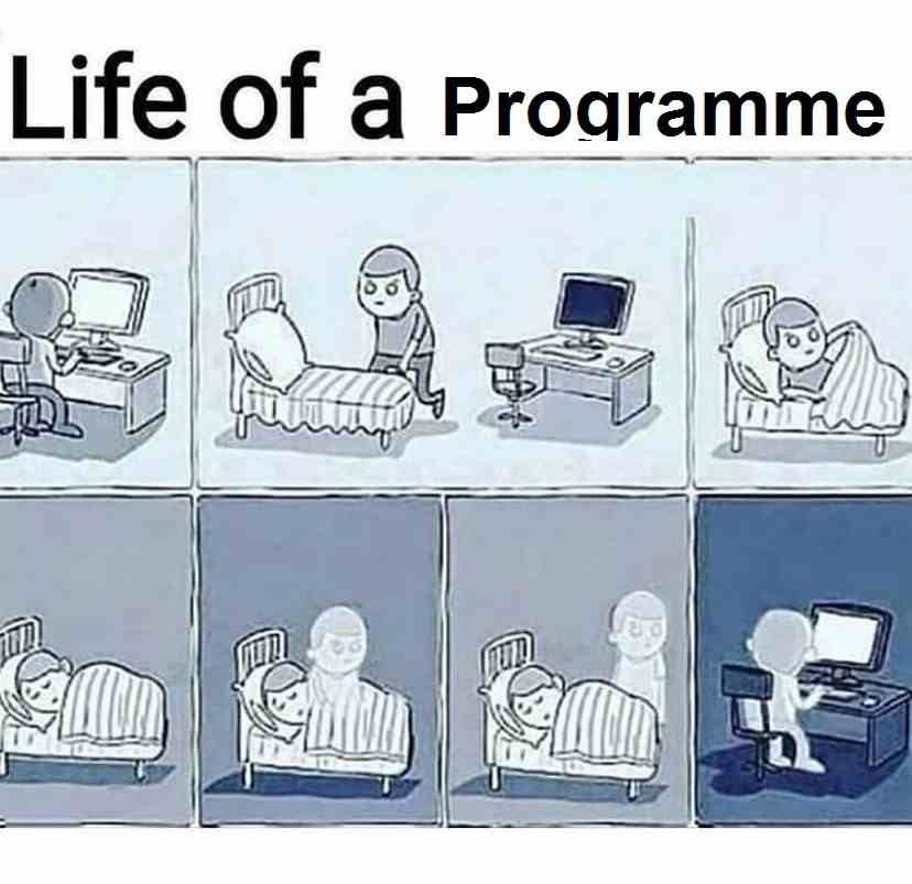 Life of a Programmers