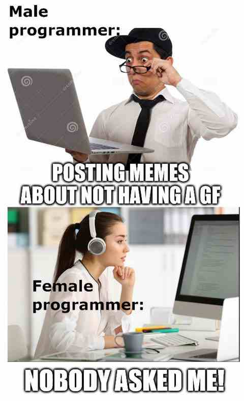 Male Programmer vs Female Programmer