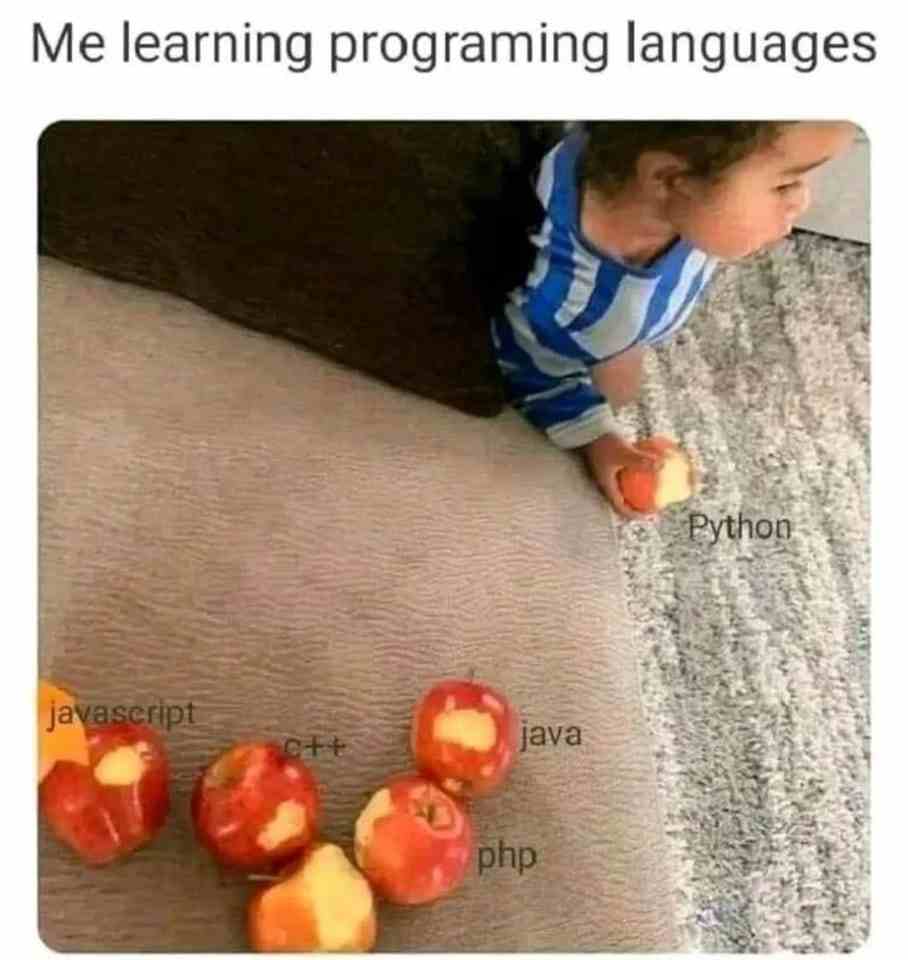 Me learning programming languages7