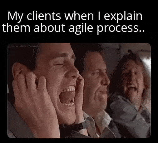 My Clients when i explain them about agile process..