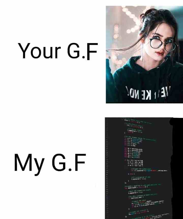 Normal People G.F vs Programmer G.F