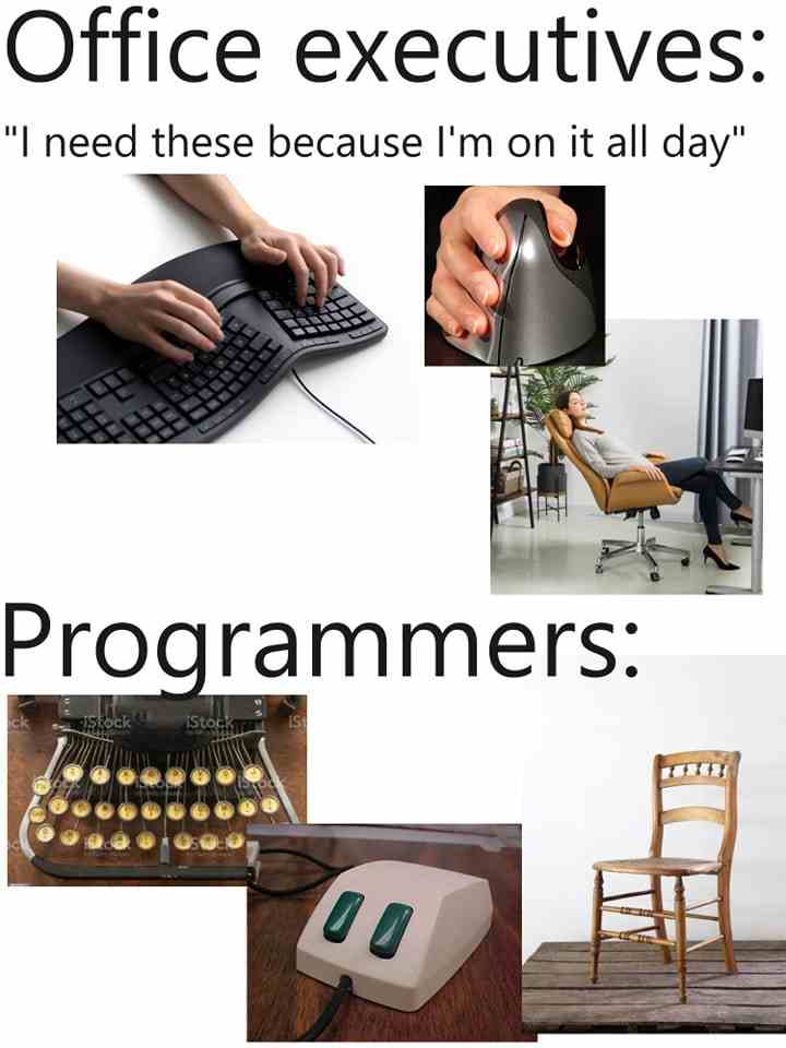 Office executives & Programmers