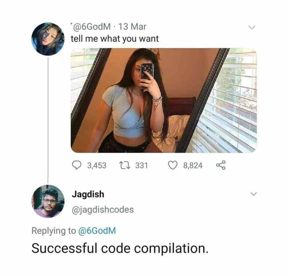 Other people better understand why programmer's are single