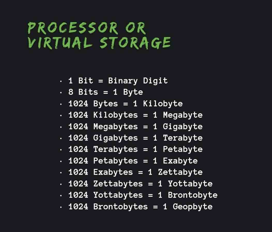 Processor or virtual storage