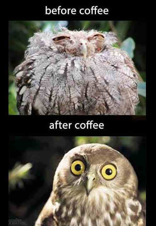 Programmer before coffee and after coffee