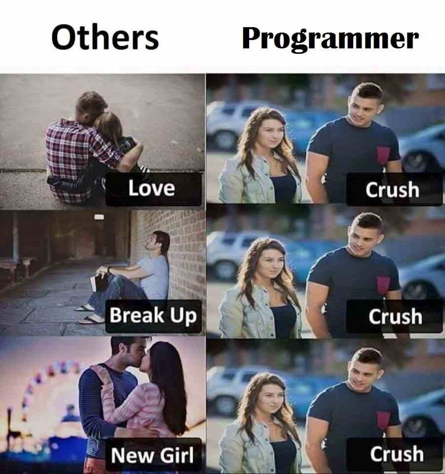 programmer crush vs other crush