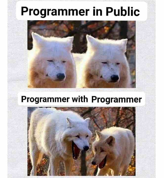 Programmer in public & Programmer with Programmer