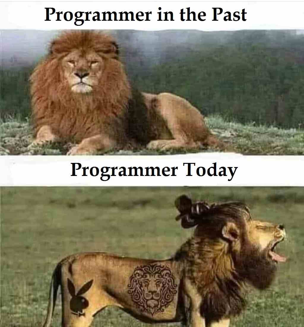 Programmer in the Past & Programmer Today