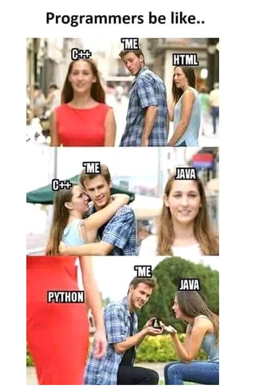 Programmers be like..sad but reality