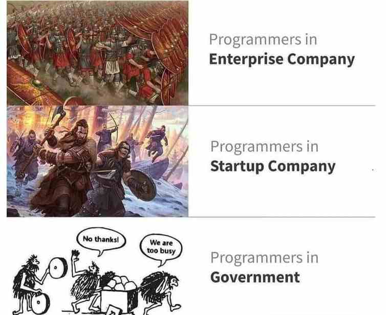 Programmers in enterprise company Vs Programmers in Government