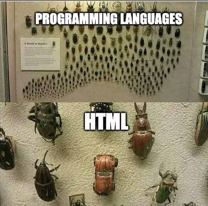 Programming languages & HTML