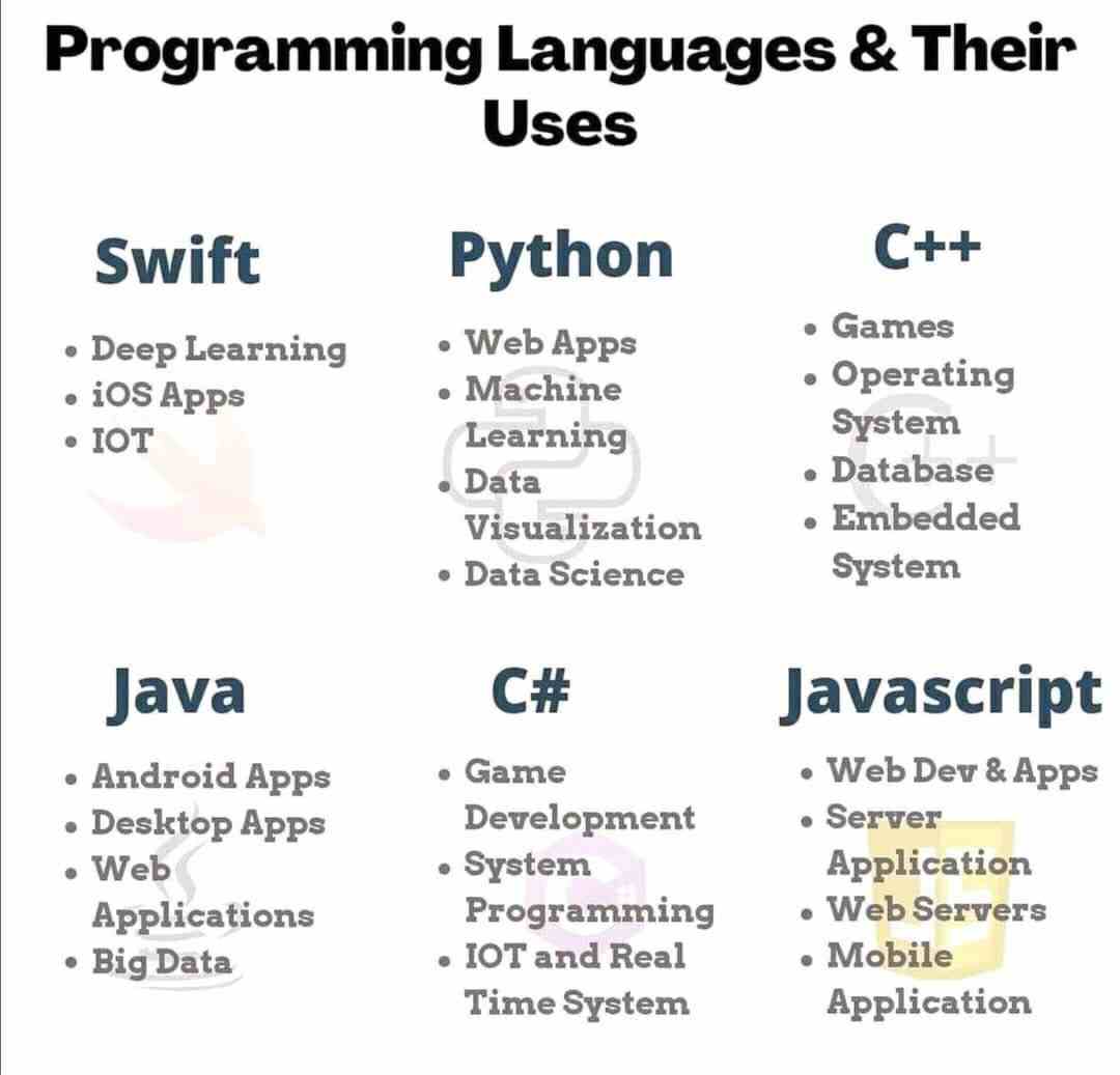 Programming Languages & Their Uses