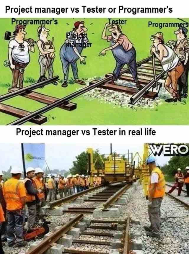 Project manager Vs Tester or Programmer's
