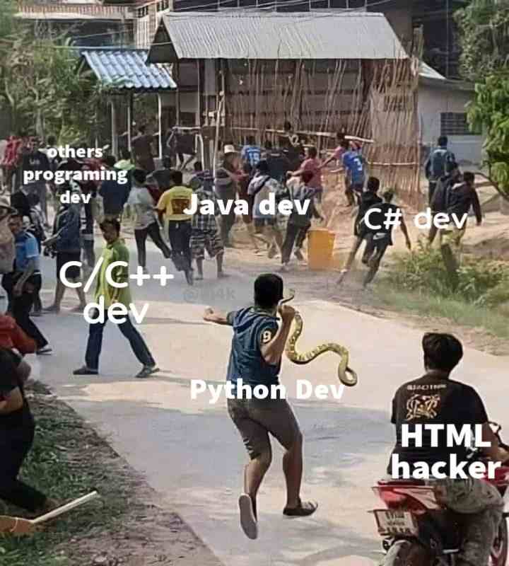 python dev why're you running?