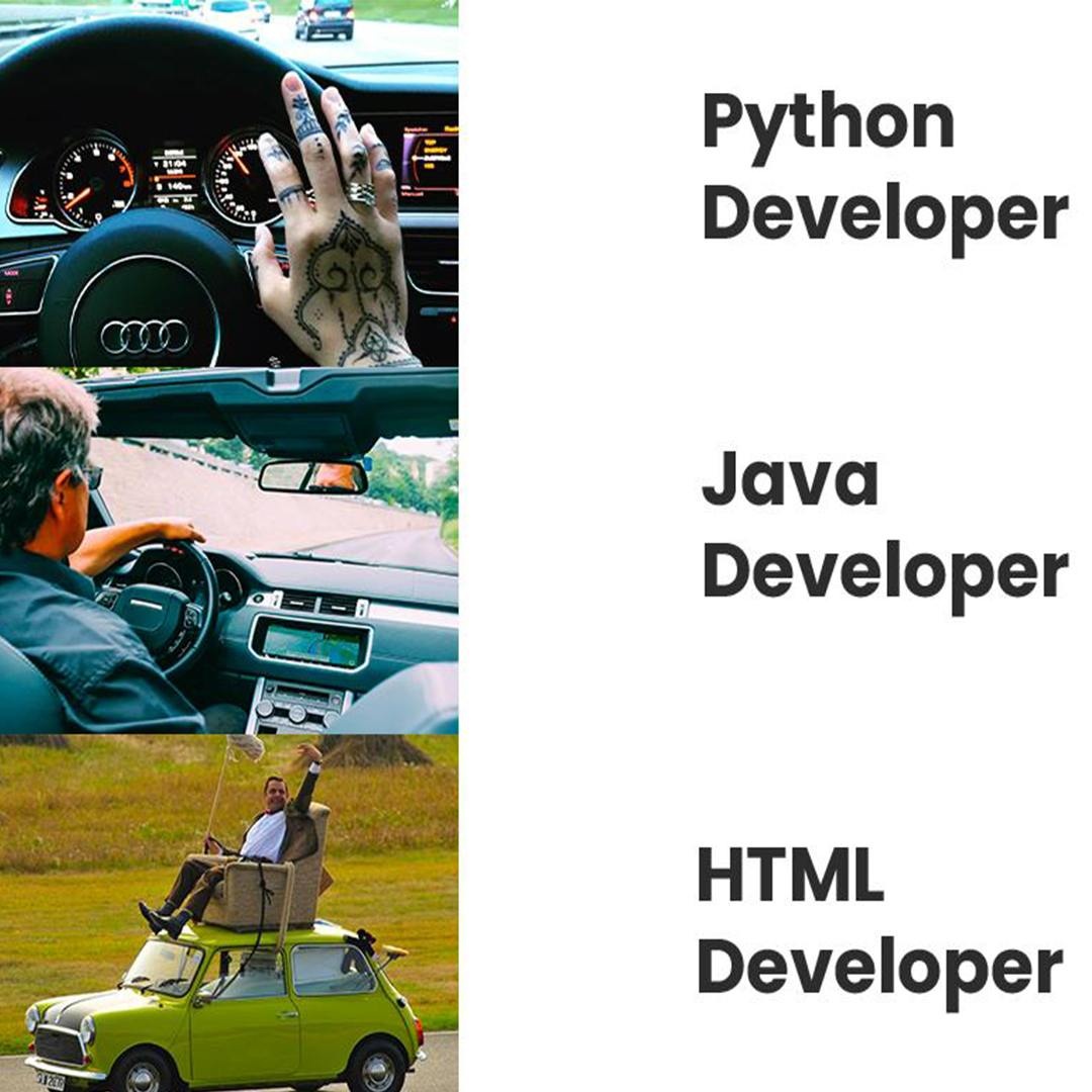 Python developer & Java developer