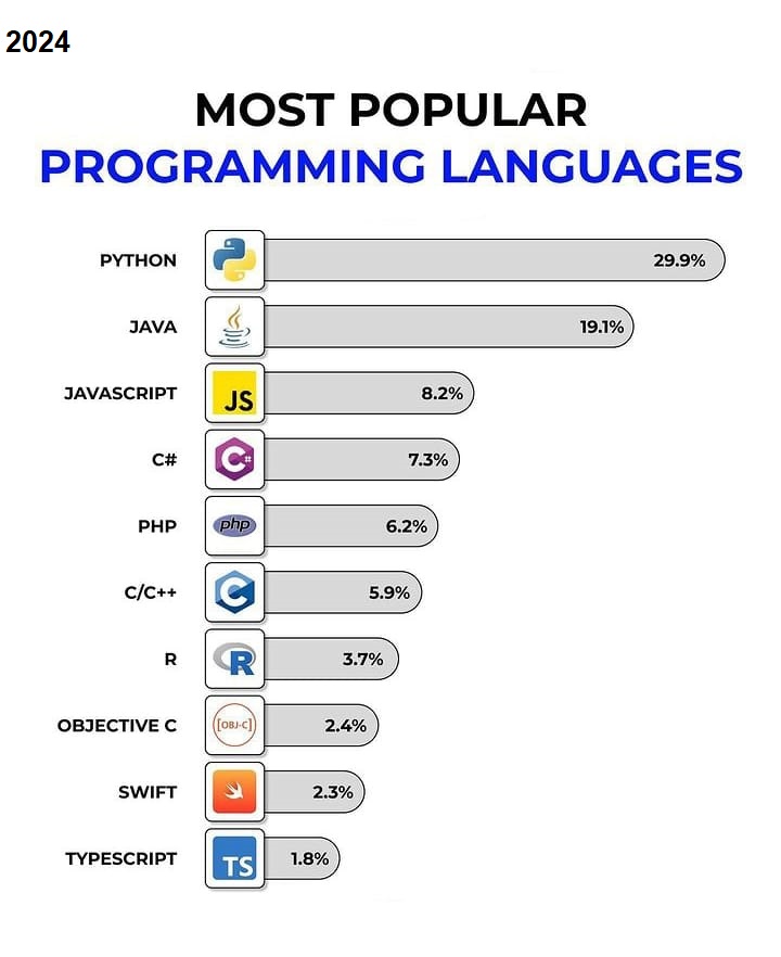 Python, most used language 2024