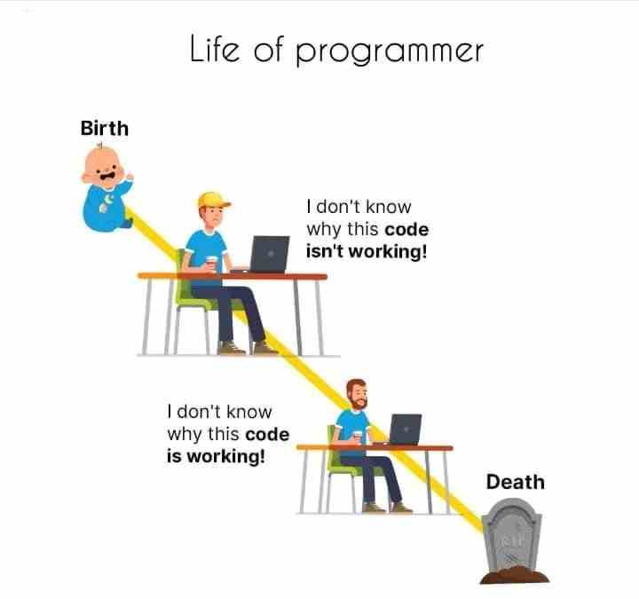 Real Life of Programmer's